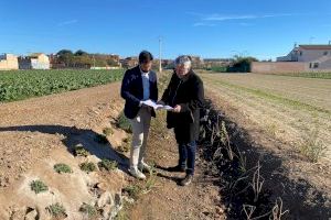 El Ayuntamiento recupera el cajero de una acequia de riego con planta autóctona en Castellar-l’Oliveral