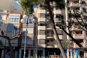 Alzira talarà el pi de la plaça Major per risc de caiguda