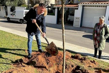 Catarroja celebra el Día del árbol añadiéndose a una iniciativa europea por la sostenibilidad