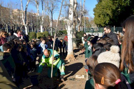 Sedaví ha celebrado el Día del Árbol con la plantación de dos ejemplares de Grevillea
