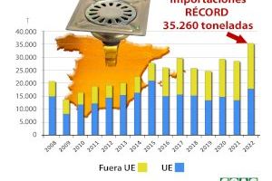 España "se convierte en el sumidero europeo de miel low-cost" según COAG