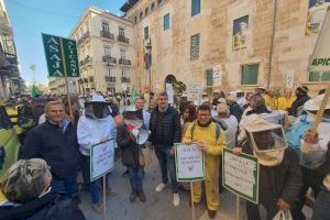 Els apicultors es manifesten enfront de Les Corts per a exigir ajudes "decents"