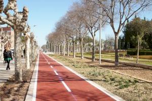 Castelló ya puede disfrutar de la nueva avenida Lidón más accesible, saludable y sostenible