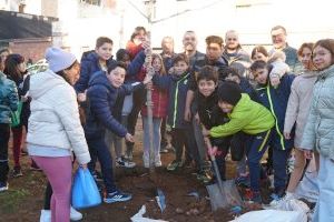 Más de 500 escolares participan en las actividades del Día del Árbol