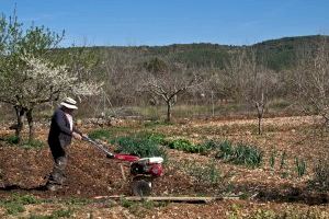 Preocupación por el envejecimiento de los agricultores en la Comunitat Valenciana