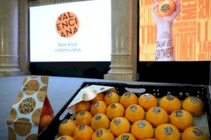 La Generalitat vendrà la ‘Taronja Valenciana’ per tot el món