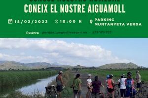El Parc Natural de la Marjal Pego-Oliva organitza una ruta interpretativa en bici per conèixer l'aiguamoll