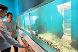 El Museo del Mar de Peñíscola suma más de 63.000 visitantes en 2022