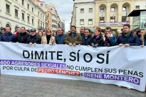 Toni Pérez: “Alicante exige responsabilidades ante una ley que ha dejado en la estacada a las mujeres”