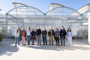 Diputación de Castellón financia con 67.500 euros un proyecto de la UJI que buscar alternativas sostenibles al uso de fertilizantes químicos