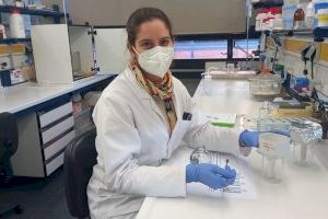 La UV y AVA-ASAJA investigan nanomateriales con aceites esenciales para combatir plagas