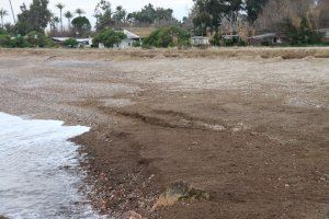 CS muestra el “deterioro intolerable” de las playas de Sagunto a la vicepresidenta Teresa Ribera: “Exigimos soluciones ya”