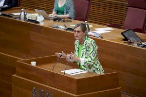 Bastidas exige a Puig que “retire el decreto que rebaja a un tercio la prestación para salud mental y dependencia”