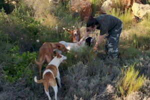 Los cazadores valencianos piden una Ley de Bienestar Animal “compatible con nuestra actividad”