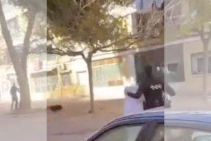 VÍDEO | Senglars a Sagunt i Oropesa: la Policia intenta atrapar a l'animal