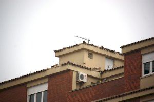 Les obres de l'edifici Borrull de Castelló s'emporten per davant la teulada d'un edifici