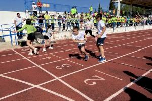 Cerca de 200 escolares de Almoradí y Orihuela participarán en la tercera edición de las Olimpiadas de la Alcachofa