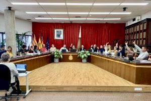 Santa Pola aprueba por unanimidad una moción para reducir el número de accidentes mortales en las carreteras por el consumo de drogas