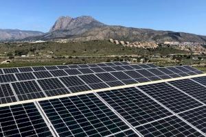 Investigadors valencians creen panells solars transparents per a compatibilitzar l'agricultura i l'energia