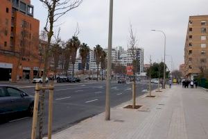 L'Ajuntament avança en la renaturalització de l’avinguda del Mestre Rodrigo, entre Campanar i Sant Pau