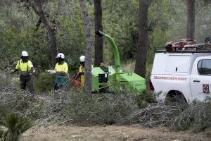 Diputació de Castelló i  Generalitat invertiran 2,4 milions d'euros en 2023 en els treballs de prevenció d'incendis a la província