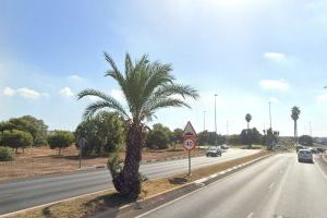 Fallece un motorista tras chocar contra una palmera en Torrevieja