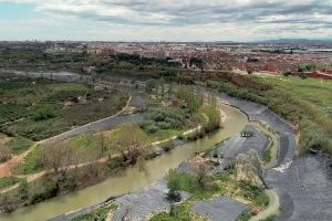 Transición Ecológica invierte 16 millones de euros para eliminar cañares de Arundo donax en más de 110 kilómetros de ríos valencianos