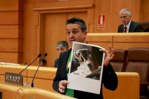 Compromís rechaza la Ley de Bienestar Animal y la reforma del Código Penal por no ser lo suficientemente ambiciosa en la protección animal