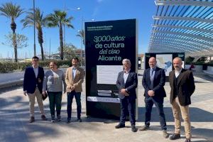 Torrevieja inaugura la exposición “3000 años de cultura del vino Alicante”