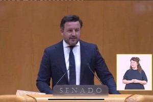Pablo Ruz (PP): “El Gobierno de Sánchez, Ximo Puig y Carlos González ha abandonado a Elche”
