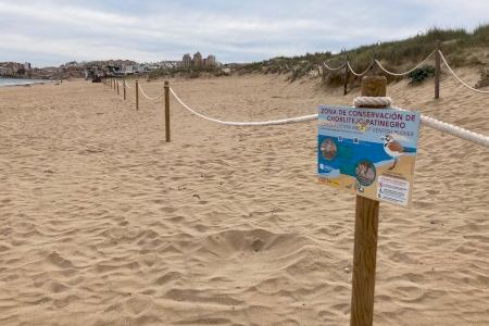 Medio Ambiente instala un nuevo balizado para salvaguardar la nidifiación del chorlitejo patinegro en la playa de La Mata