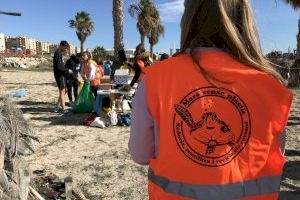 Más de 200 estudiantes de Educación Infantil de la UA limpiarán el próximo sábado la playa de San Gabriel