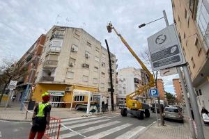El Ayuntamiento de Xàtiva reposará la palmera ubicada en la calle Huerto del Almúnia