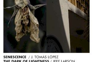 Photoalicante lleva al MUA las exposiciones 'Senescence' de J. Tomás López y 'The Darkness of light' de Jeff Larson