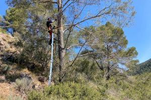 L’Ajuntament de Serra instal·la 15 sensors per previndre els incendis forestals
