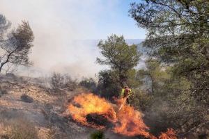 Estabilizado el incendio forestal declarado en Casinos