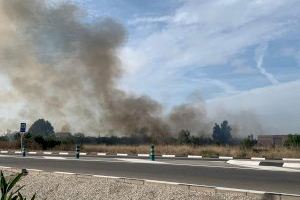 Declarado un incendio agrícola en la carretera que une Burriana con Vila-real