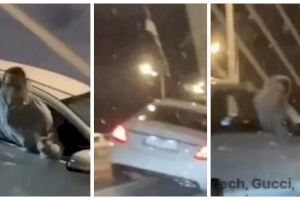 VIDEO | Gamberrada en Valencia: un coche circula sobre la mediana entre risas
