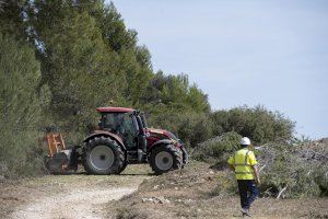 Nueve brigadas limpiarán los montes de Castellón para evitar incendios