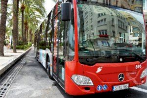 Així és la nova xarxa de bus urbà d'Alacant: més freqüències i menys esperes