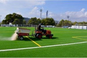 Alicante destina 2,7 millones de euros al mantenimiento del césped de los campos de fútbol