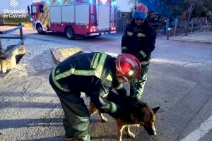 VÍDEO | Rescaten un gos que havia caigut a una séquia amb aigua a La Llosa