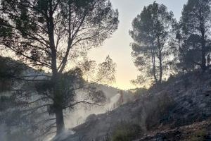 Els bombers de València actuen en més de 20 incendis a la província en un dia