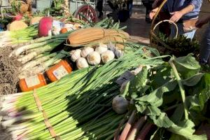 El mercat de venda directa de l'horta de Castellar-Oliveral arranca este dissabte