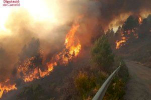1.000 hectáreas quemadas y 10 poblaciones desalojadas en el incendio de Castellón