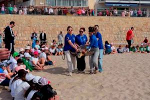 150 alumnos de primaria asisten a la suelta de una ‘tortuga boba’ en la playa de Poniente