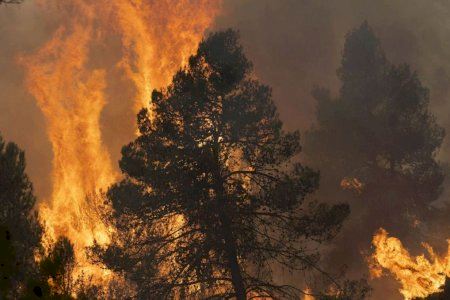 El incendio del Alto Mijares coge fuerza y sigue imparable hacia la Sierra de Espadán