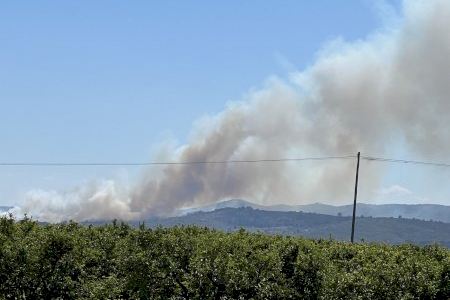 Varios chalets desalojados por el incendio forestal de Picassent