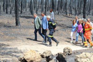 Pedro Sánchez visita el incendio del Alto Mijares este lunes