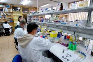 La Universitat d’Alacant destina 36.000 euros a finançar projectes d’investigació sobre gastronomia
